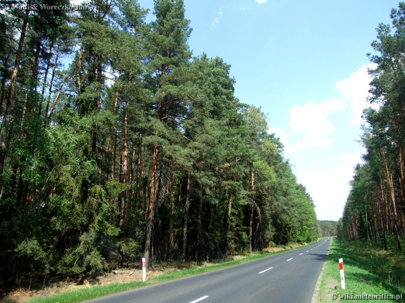 Plik:Ostrzeszów (droga do Bukownicy).jpg