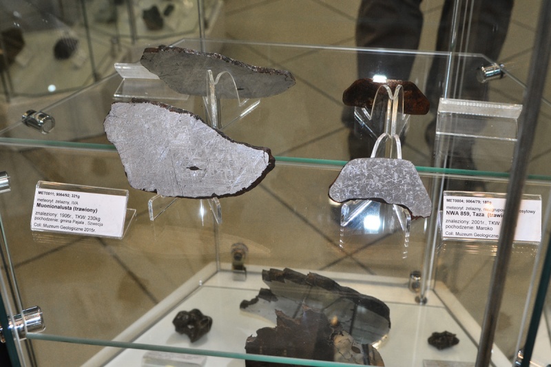 Plik:Meteoryty (Muzeum Geologiczne UŁ) 9.jpg