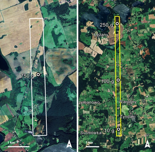 Plik:Reszel (Żmija 2026)-fig3-4.jpg