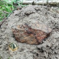 Miniatura wersji z 20:31, 19 maj 2025