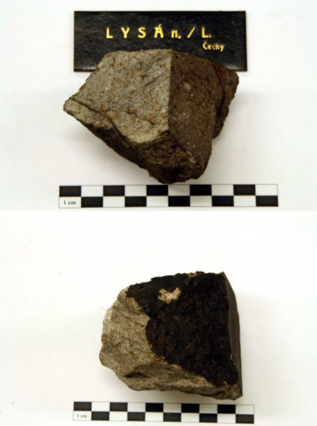 Plik:Lissa (Šreinová 2012).jpg