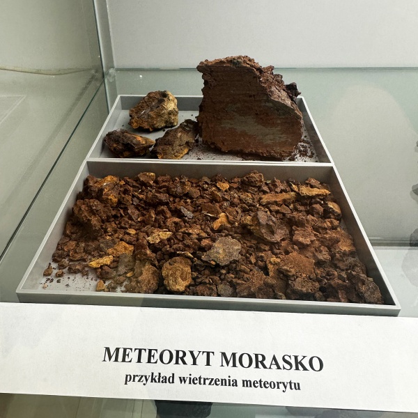 Plik:Morasko (Muzeum UAM)-SzK3.jpg