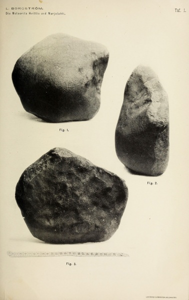 Plik:Hvittis (Borgström 1903)-taf1.jpg