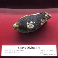 Gross-Divina (NHM Vienna)-TJ21.jpg