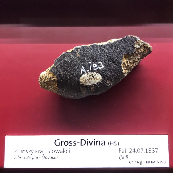 Plik:Gross-Divina (NHM Vienna)-TJ21.jpg