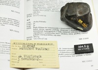 Pultusk (304g, Tomasz Jakubowski Meteorites Collection)-1.jpg
