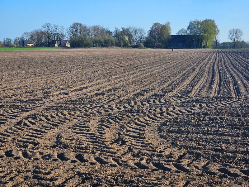 Plik:SN20260417 (WW)-2.jpg