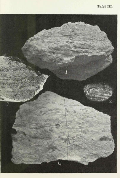 Plik:Kaalijärv (Reinwaldt 1928 tafel-3).jpg
