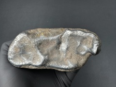 SN20260417 (mainmass)-SzK 7432.jpg