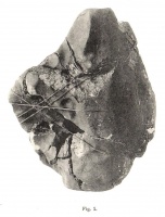 St.Michel (Borgström 1912)-fig1.jpg