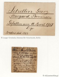 Schellin labels (NHM Berlin).jpg