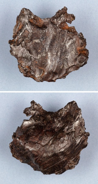 Plik:Sikhote-Alin (MMUWR I 72).jpg