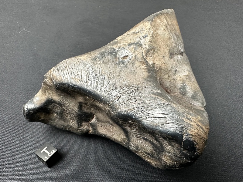 Plik:SN20260417 (mainmass)-SzK 7478.jpg