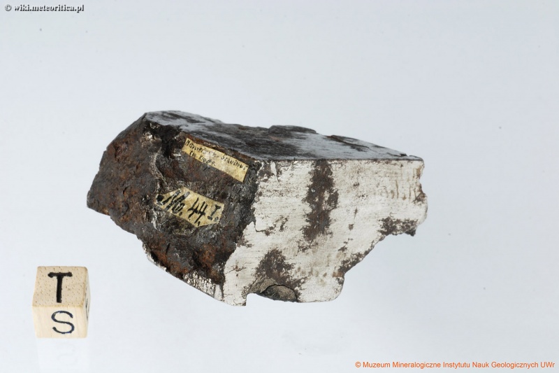 Plik:Schwiebus (Muzeum Mineralogiczne UWr) 1.jpg