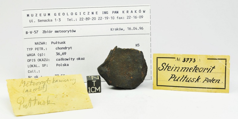 Plik:Pultusk (36g, Tomasz Jakubowski Meteorites Collection).jpg